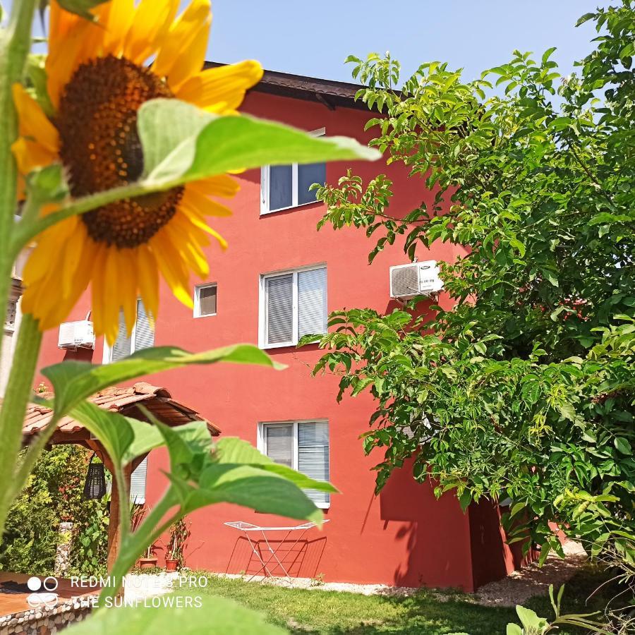 Sunflowers Konukevi